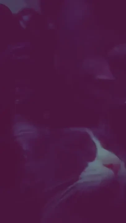 Hes cute when he wants to be just like his mommy he get it from me 