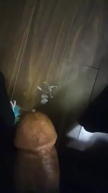 Dont waste a drop lil bitch cum aj180 tgirl bbc tranny 