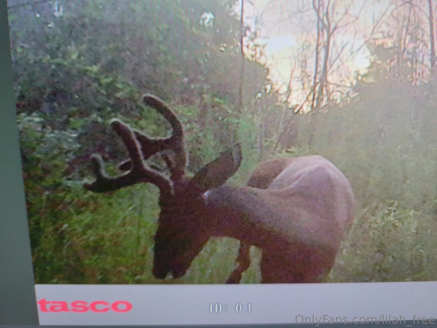 Hell yeaaaaa it s that time folks filling the freezers heavy this year 