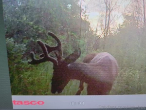 Hell yeaaaaa it s that time folks filling the freezers heavy this year