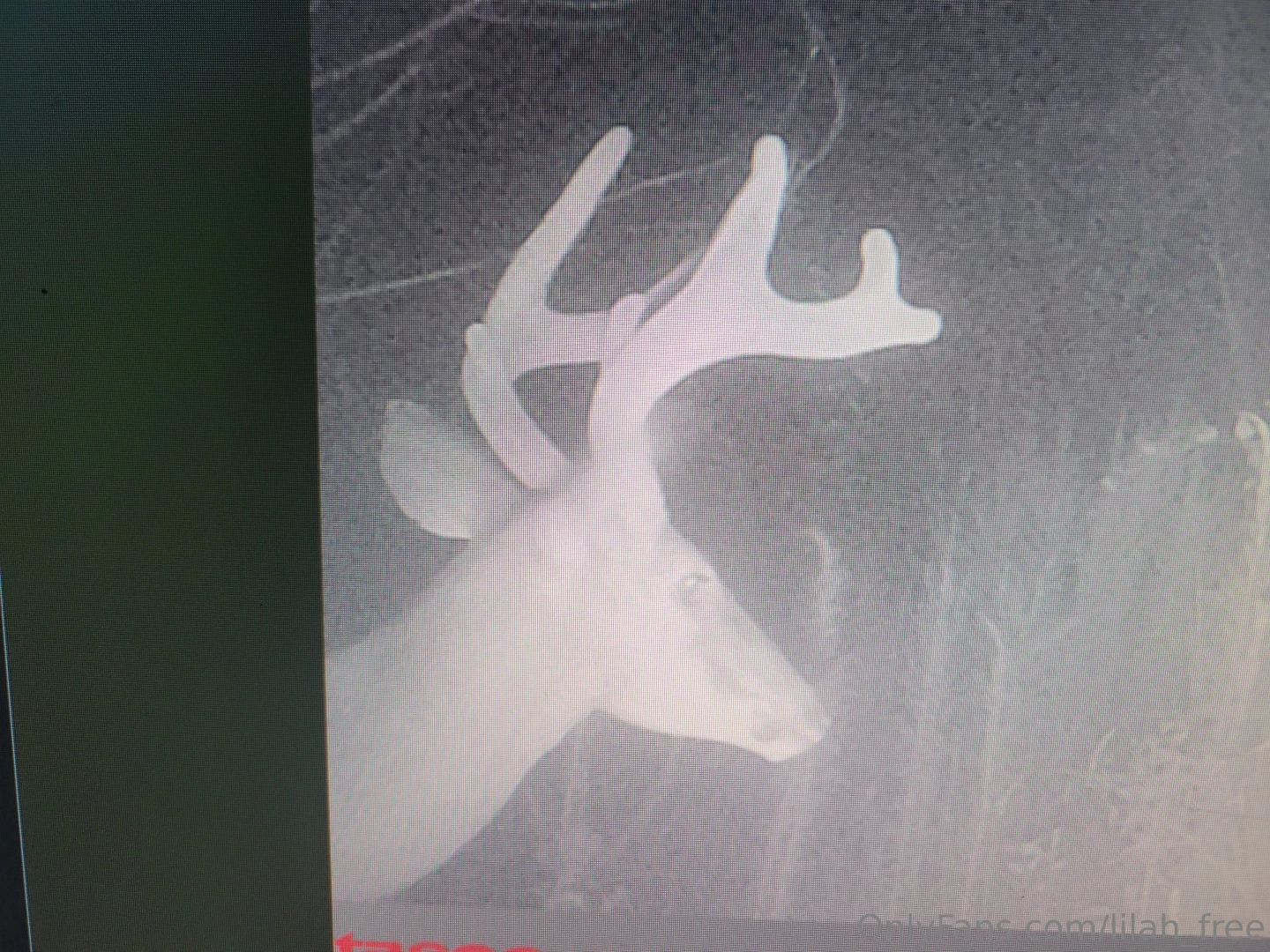 Hell yeaaaaa it s that time folks filling the freezers heavy this year part 1 