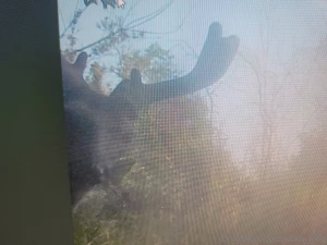 Hell yeaaaaa it s that time folks filling the freezers heavy this year part 4