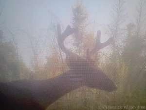 Hell yeaaaaa it s that time folks filling the freezers heavy this year part 2