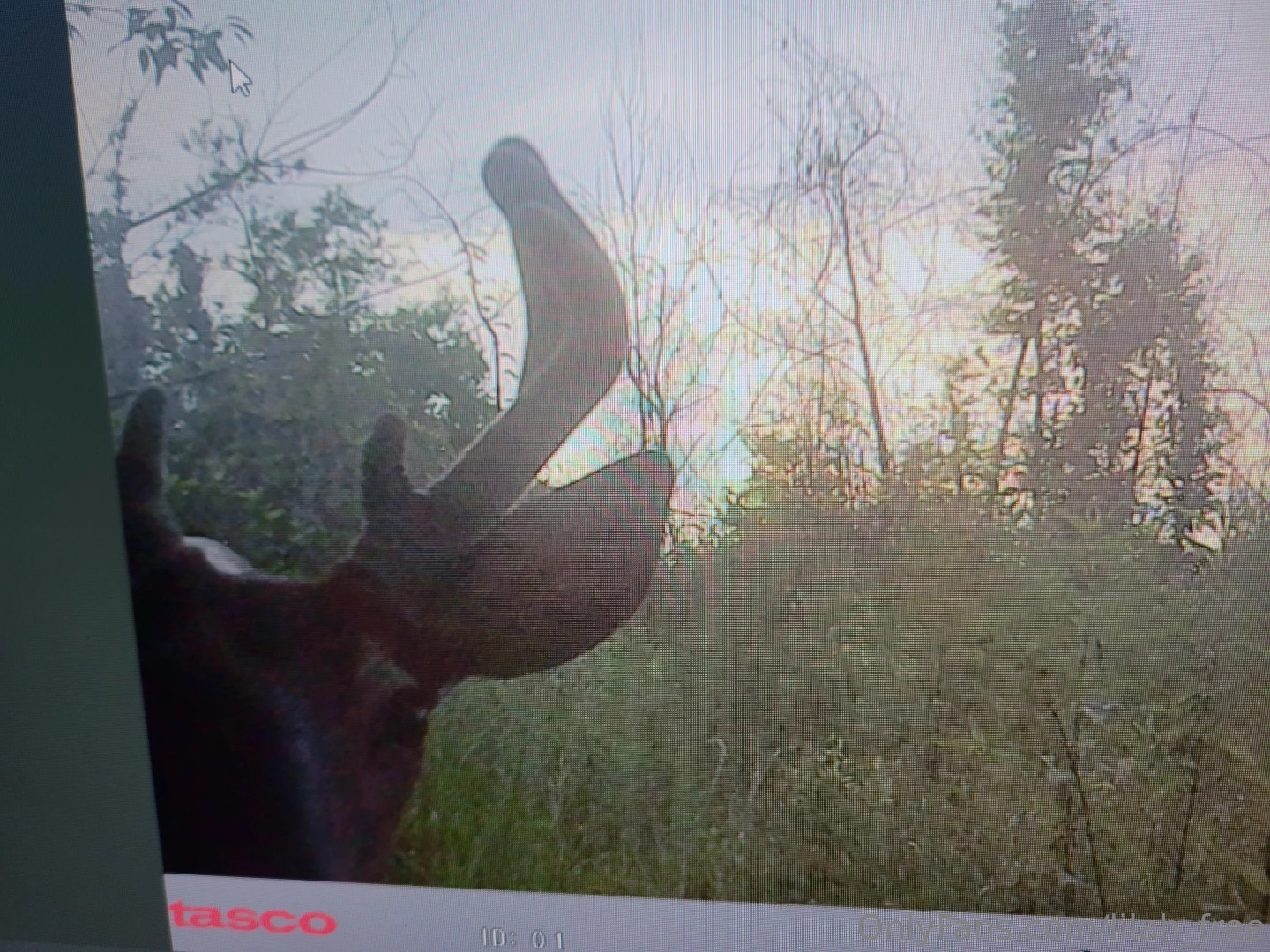 Hell yeaaaaa it s that time folks filling the freezers heavy this year part 3 