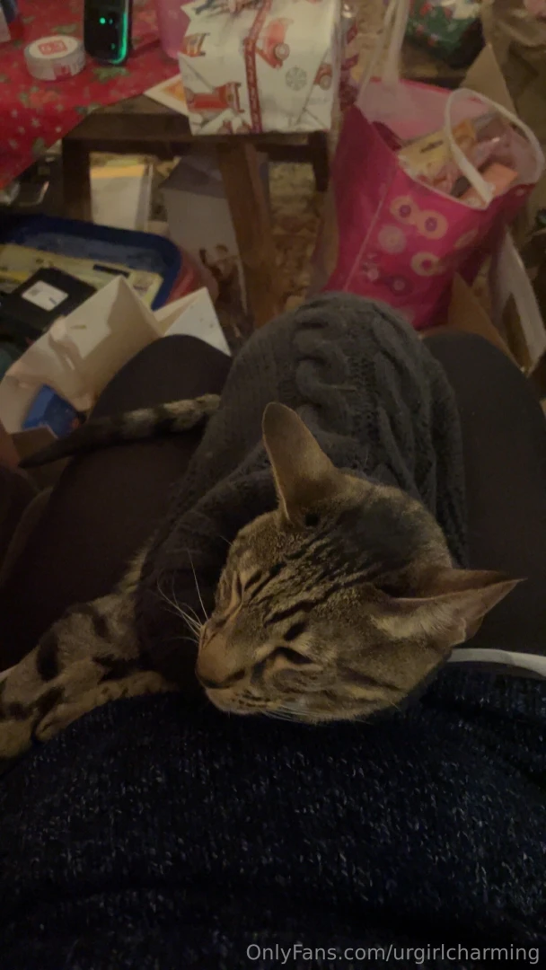 Merry christmas to you all god jul allihoppa i hope that despite part 3 