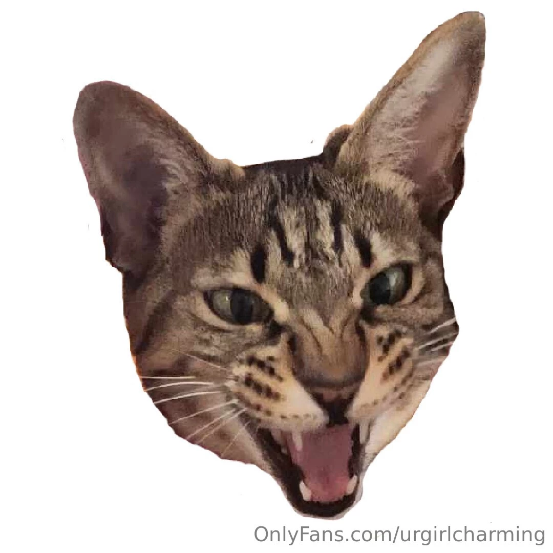 Hey i got a discord server aswell for my gaming where i also put out 