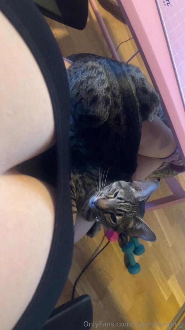 How it looks for me to look down at my cat 