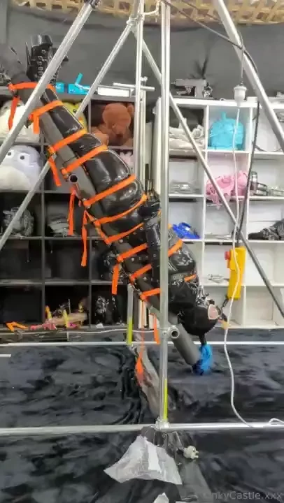 Part 7 of 9 apparently all it takes is a gold star to motivate this 