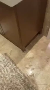 Handsomebuck giving me a helping hand with my toys