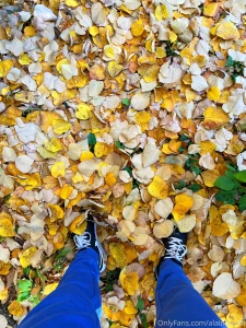 I was born in brasov romania it s a small city surrounded by mountains