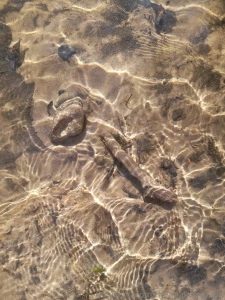 Bit personally i am just sooo happy right now i had an incredible day part 2