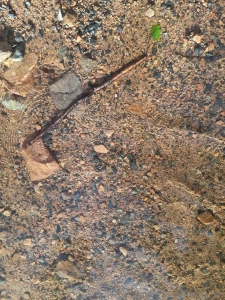 Bit personally i am just sooo happy right now i had an incredible day part 4