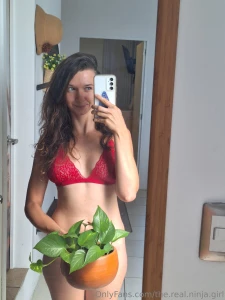 For fellow plant lovers hope you like my bush part 1