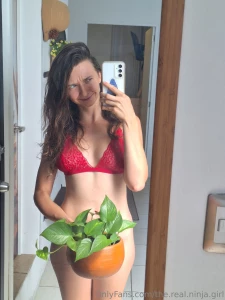 For fellow plant lovers hope you like my bush part 2