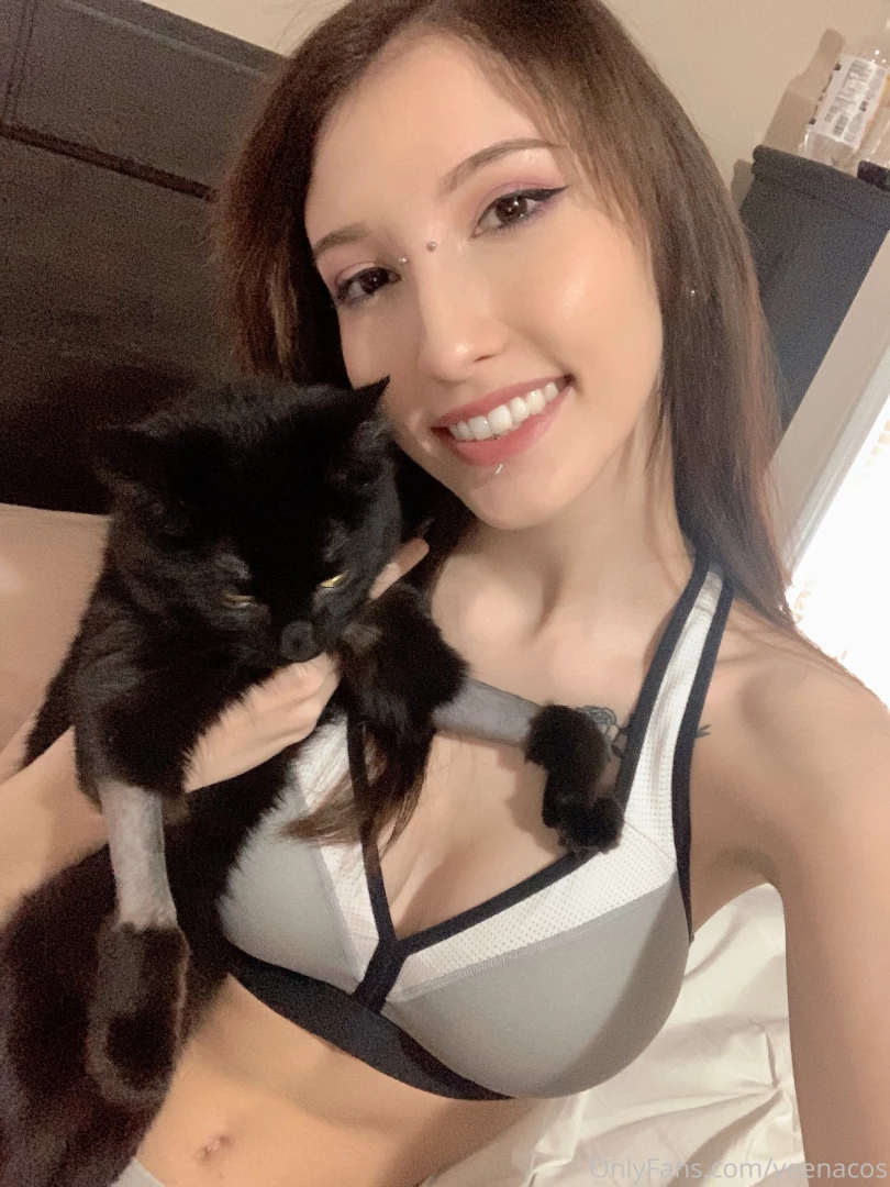 Say hello to my kitty part 4 