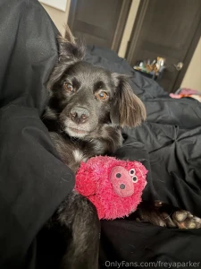 Mr man wants a new toy and you can help get him one by turning on your