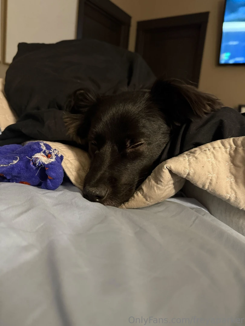 Tip to send barnabas a good morning kiss 