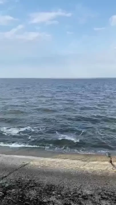 The other day i went to mezhyhirya it s currently a national park and part 5 