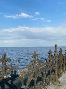 The other day i went to mezhyhirya it s currently a national park and part 2