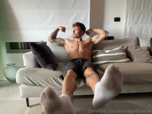 Which one of you piggy s wanna go for a sniff