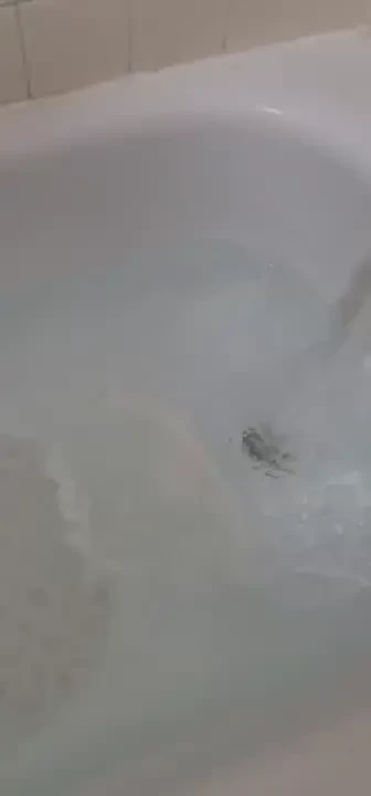 Most disappointing bath bomb of my life 