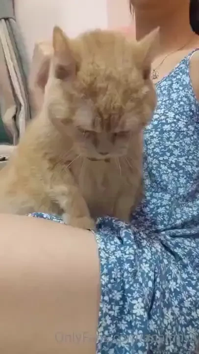 What is he trying to do 