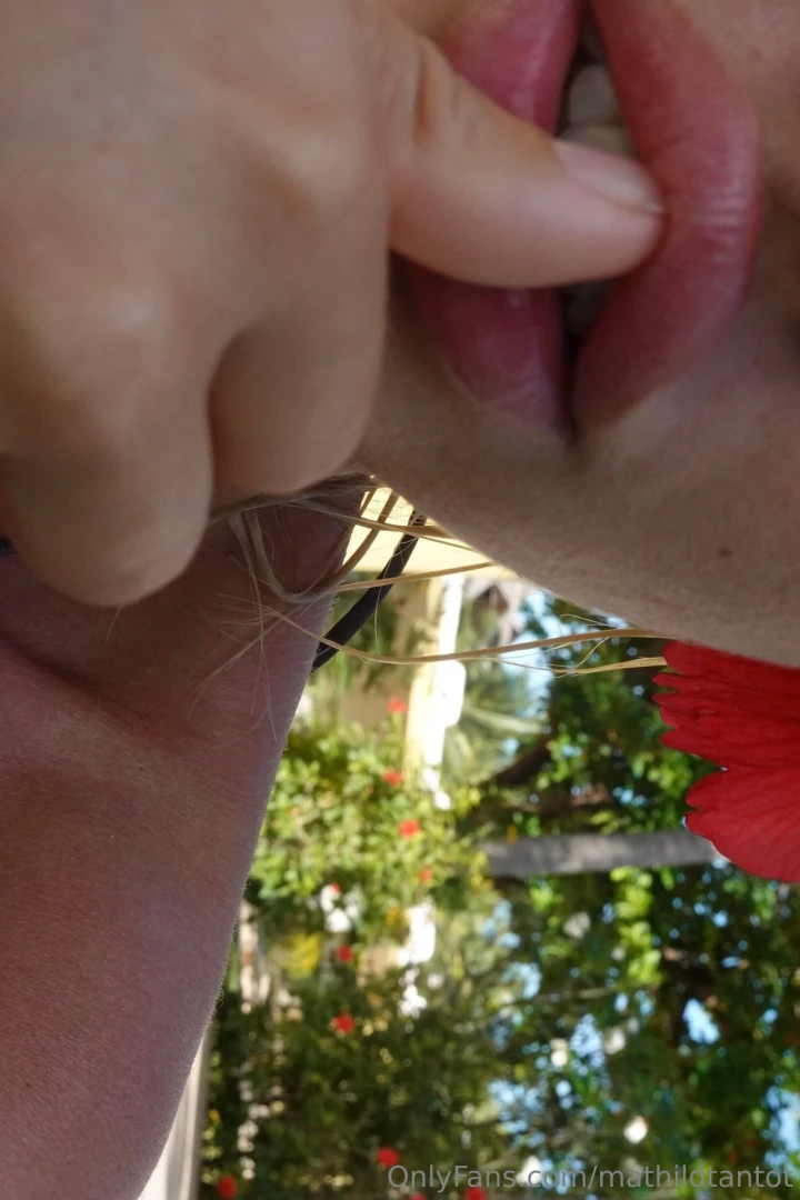 Can you spot the monkey 