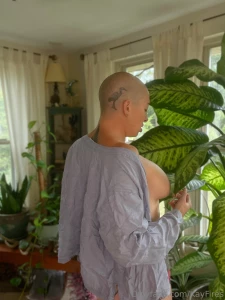 Which one tell me which of the three is your favorite and why go here