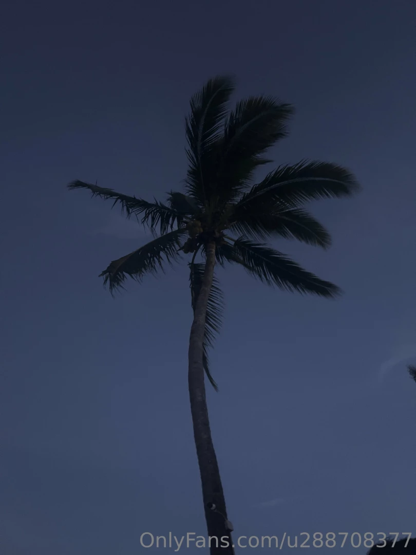 Good night part 1893 