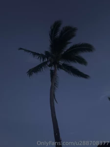 Good night part 1893