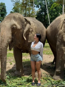 These gentle giants totally stole my heart here in thailand