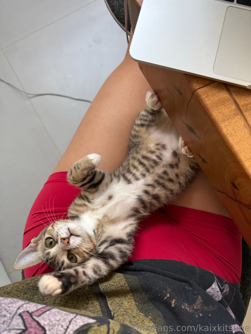 Your choice me or the kitty 