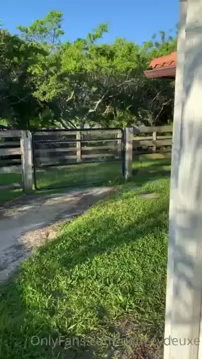 Good day to y all part 2 