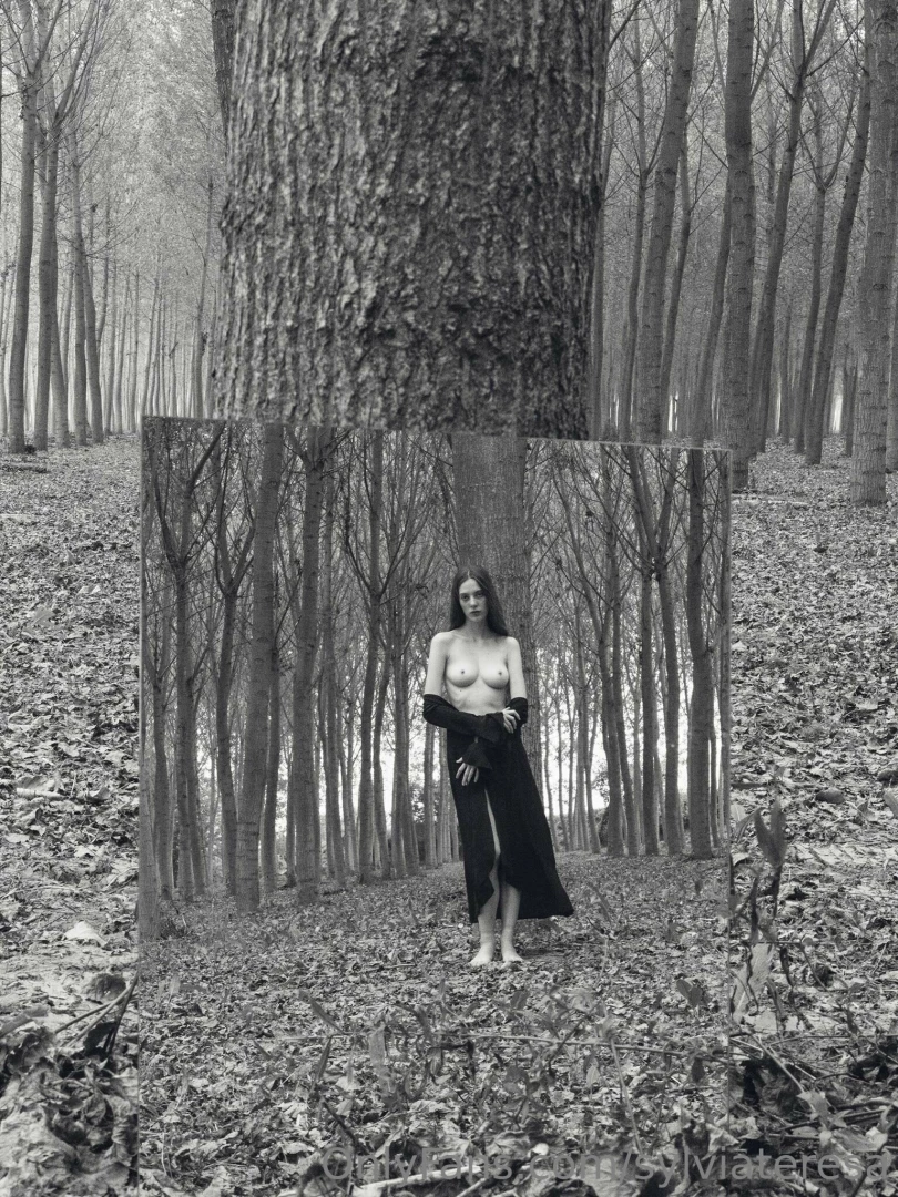 Universi paralleli e donne seminude nel bosco 