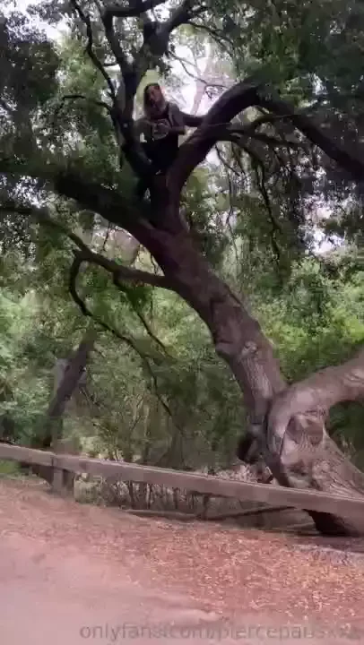 Ruckus climbing a tree to set an anchor point for my cable cam system 