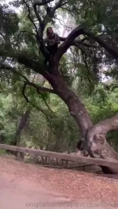 Ruckus climbing a tree to set an anchor point for my cable cam system