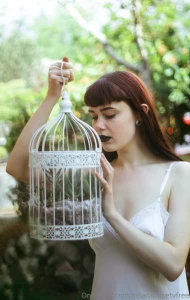 Succulents the perfect blend of beauty and resilience watching these