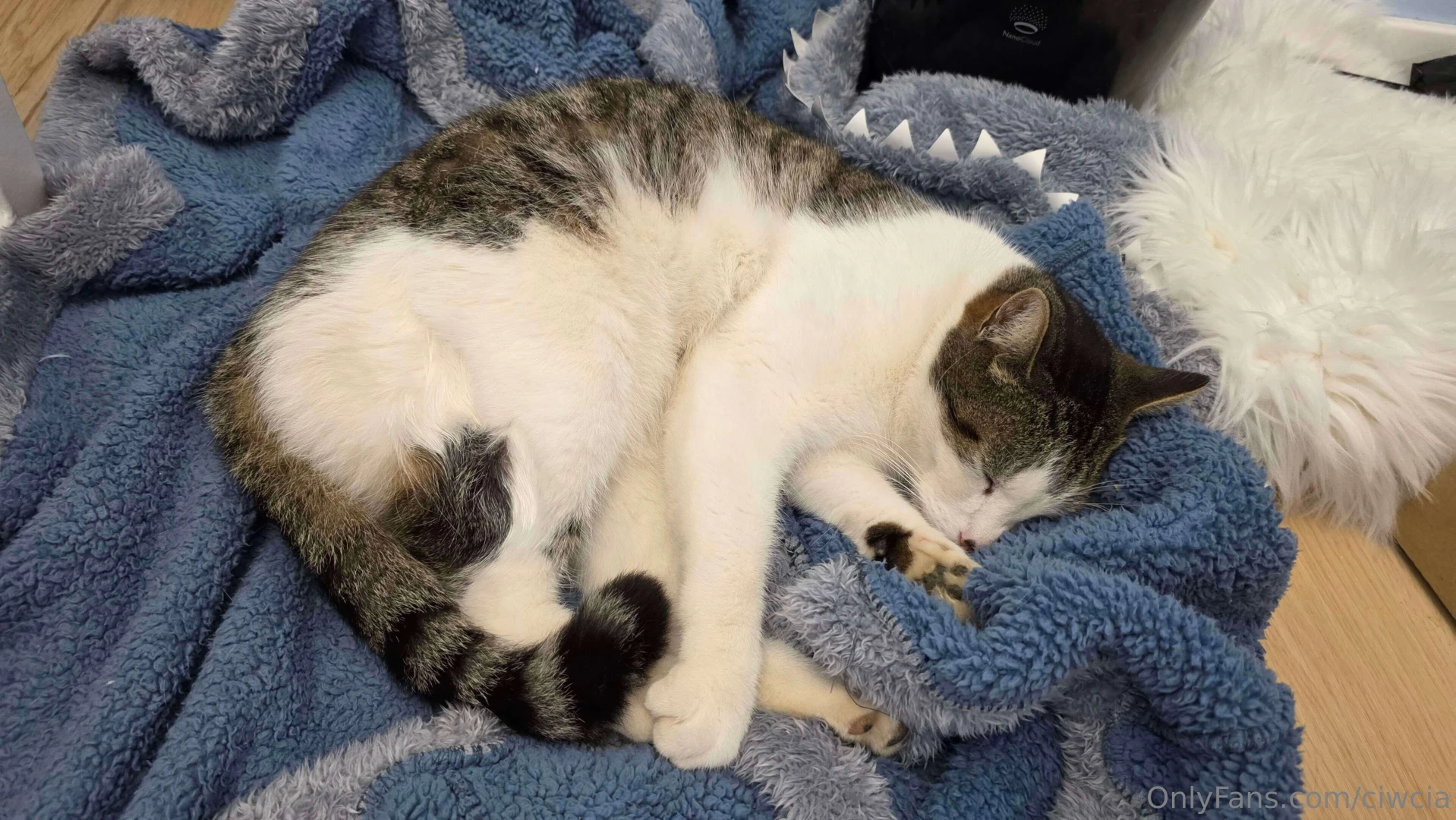 I m devastated i think it s time to write about all this many of you 