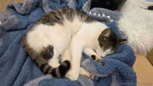 I m devastated i think it s time to write about all this many of you