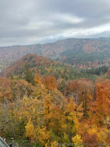 Beautiful autumn in the czech republic part 3