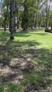 Good morning have you trained yet fyp ass pussy public park petite