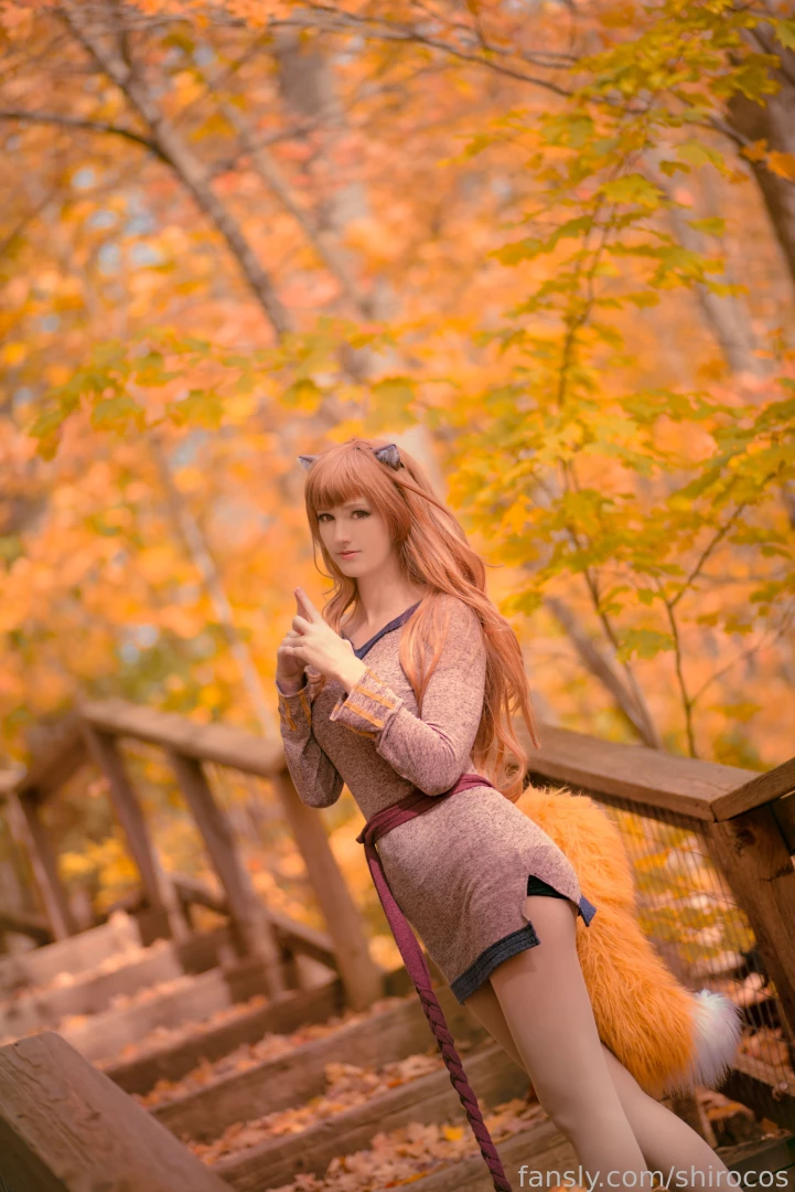 Have you seen all of these old shiros taken your recommendations and part 2 