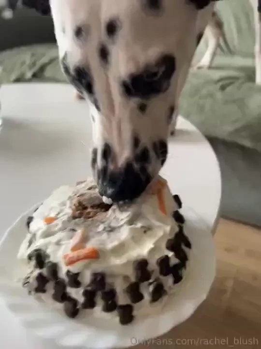 Me cooking a cake for 2 5 hours kratos eats it in 5 seconds 