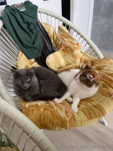 Life s busy we all know it but a pet they bring so much love and joy