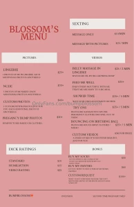 Menu part 17