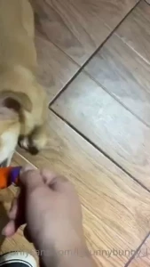 Strong teeth of my protector