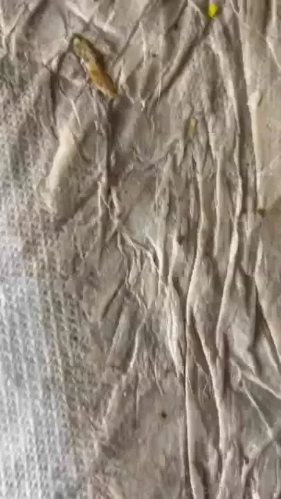 Buy my dirty foot rag already packaged up waiting for a freak to take part 4 