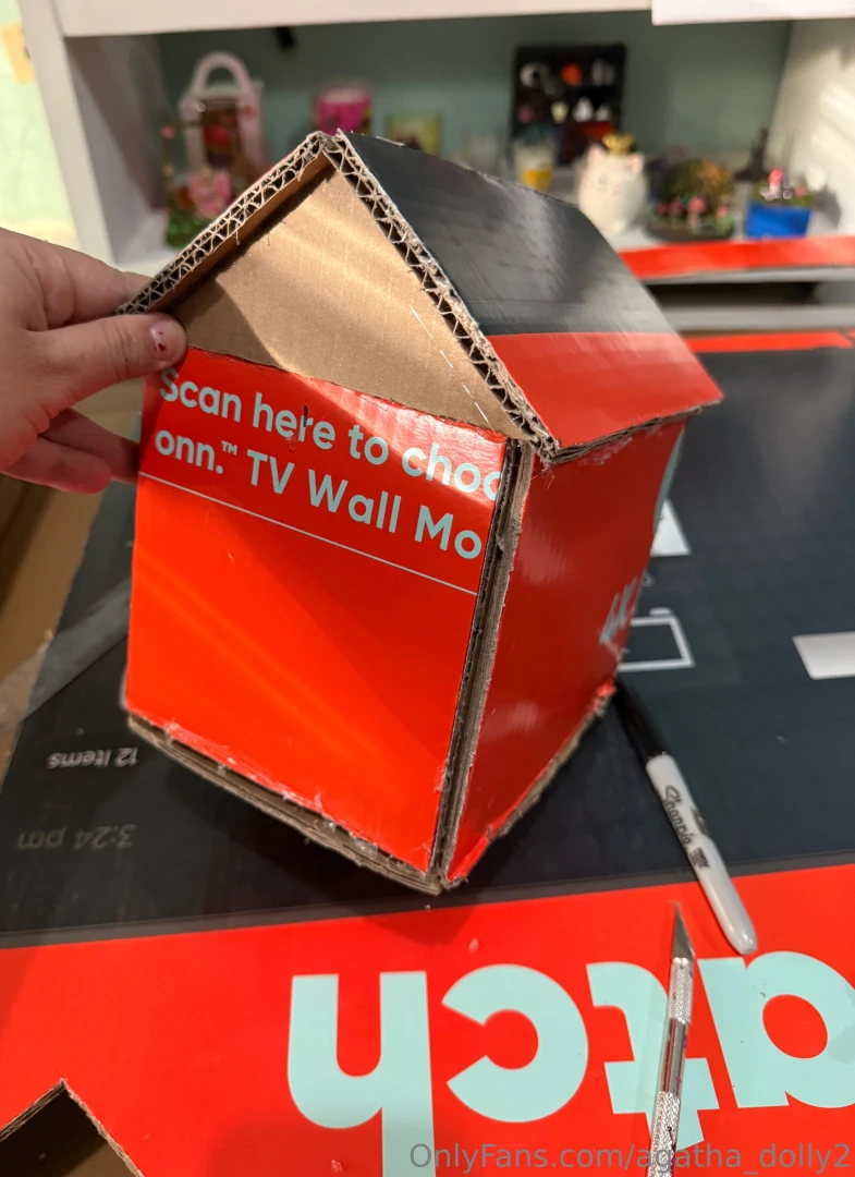 Quiero hacer una casita algo as creen que me quede bonita part 1 