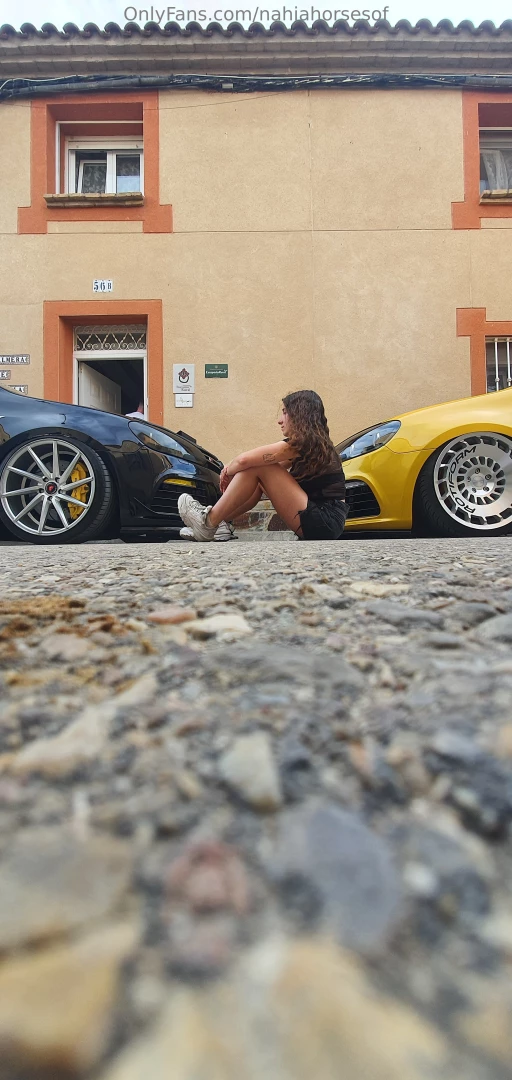 No se que caballos me gustan m s si los animales o los que llevan part 2 