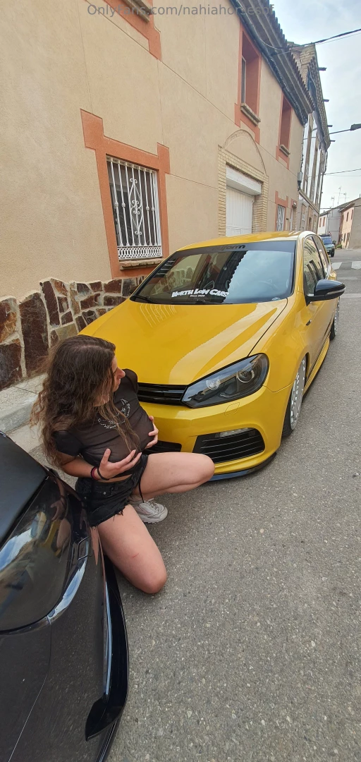 No se que caballos me gustan m s si los animales o los que llevan 